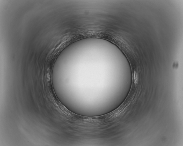 X0000089671107200706210746