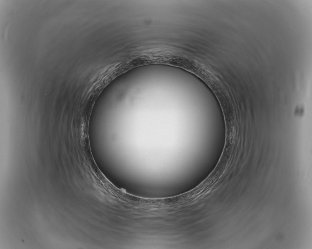 X0000089671108200706210746