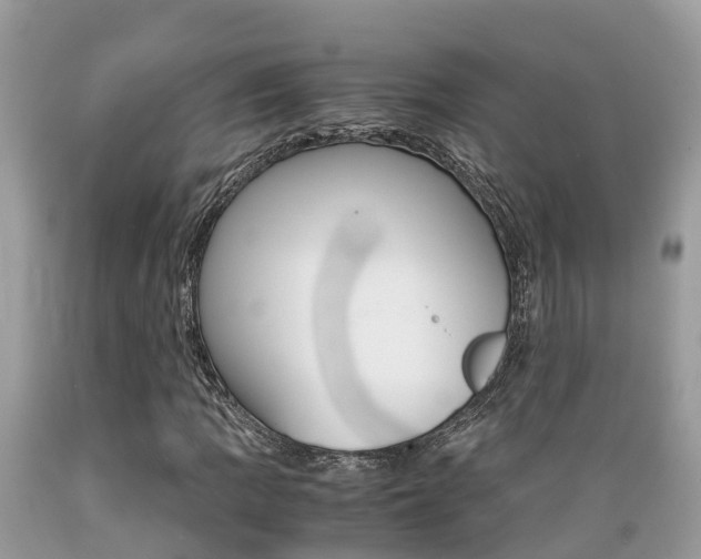 X0000089671109200706210746
