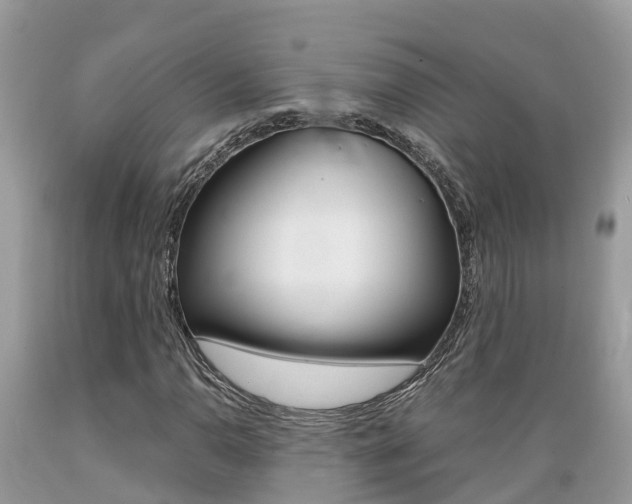 X0000089671110200706210746