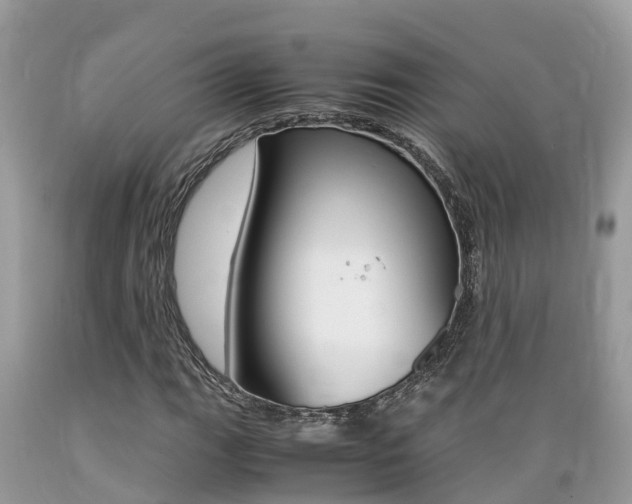 X0000089671111200706210746