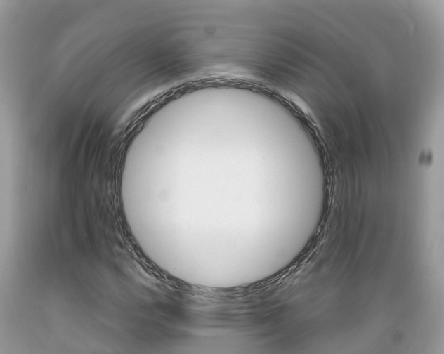 X0000089671112200706210746