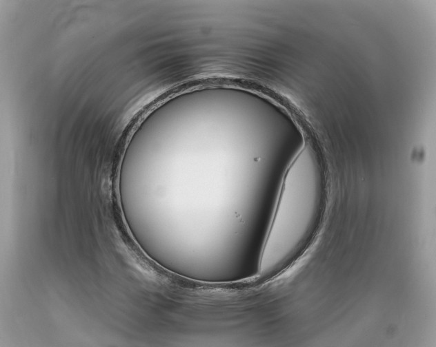 X0000089671113200706210747