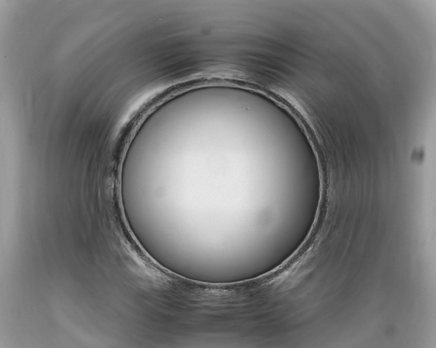 X0000089671115200706210747
