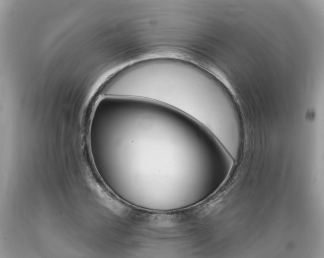 X0000089671116200706210747