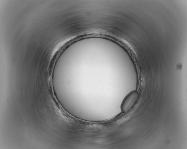 X0000089671117200706210747