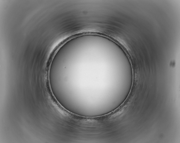 X0000089671119200706210747