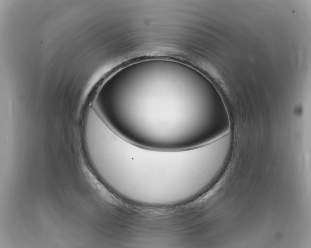 X0000089671122200706210747