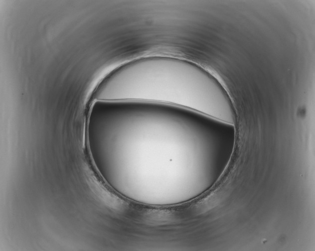 X0000089671123200706210747