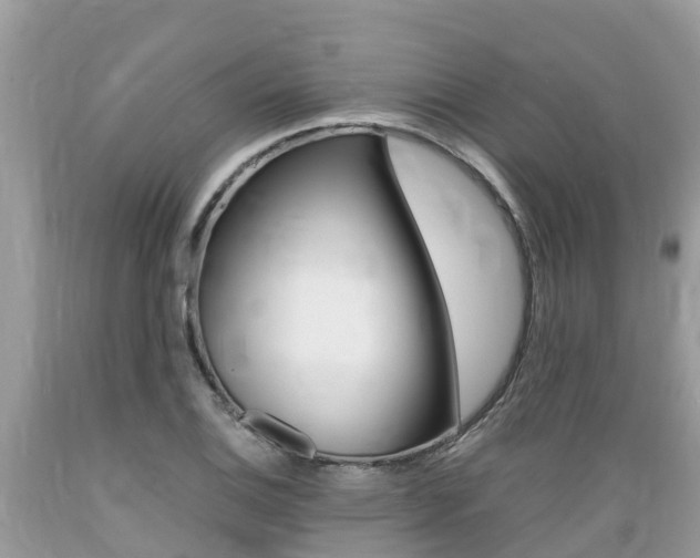 X0000089671124200706210747