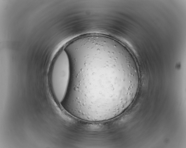 X0000089671125200706210747