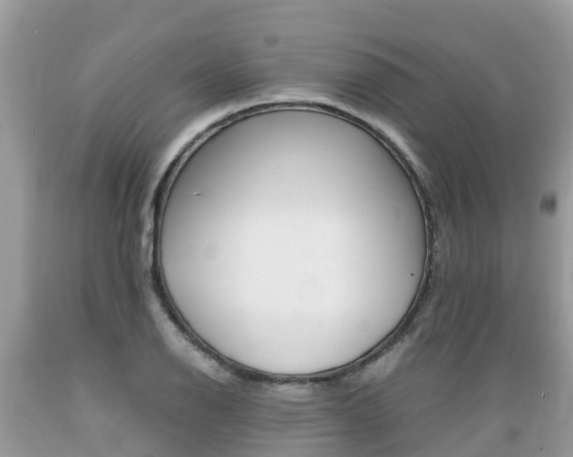 X0000089671126200706210747