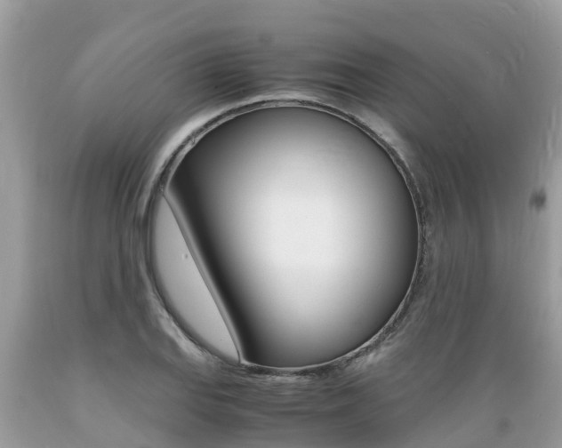 X0000089671127200706210747