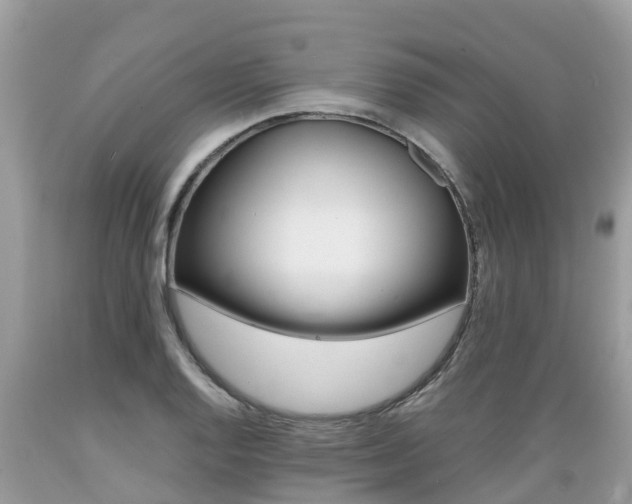 X0000089671128200706210747
