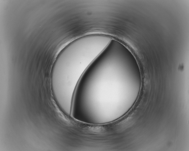 X0000089671129200706210747