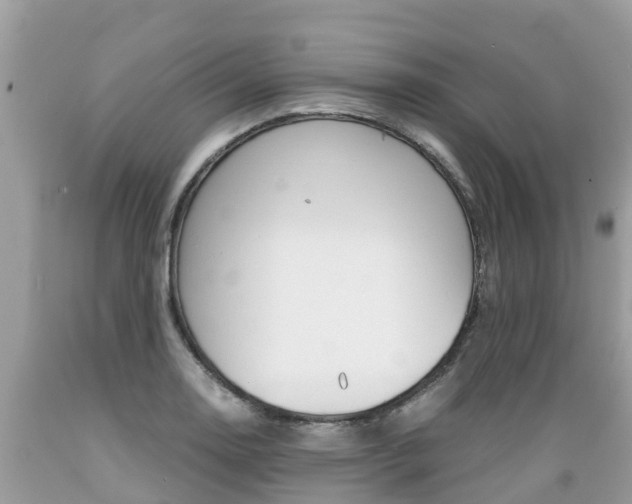 X0000089671130200706210747
