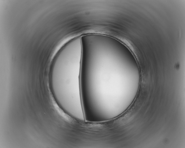 X0000089671131200706210747