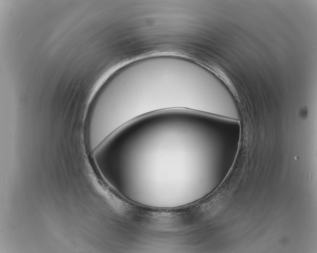 X0000089671132200706210747
