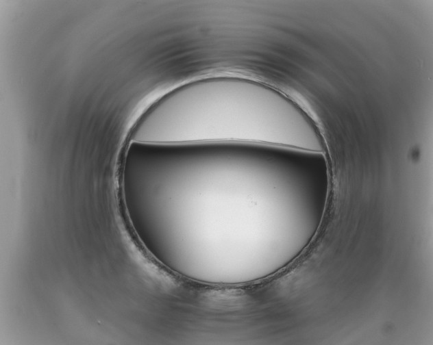 X0000089671133200706210747
