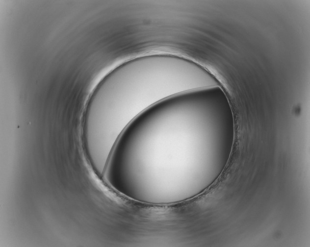 X0000089671134200706210747