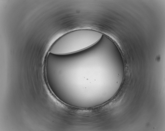 X0000089671135200706210747