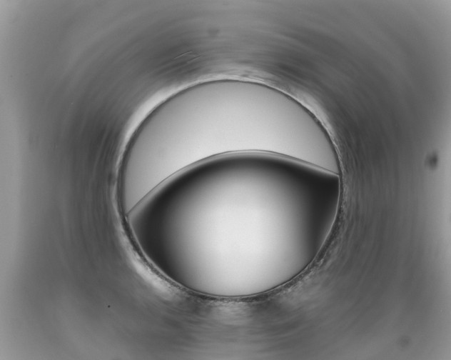 X0000089671136200706210747