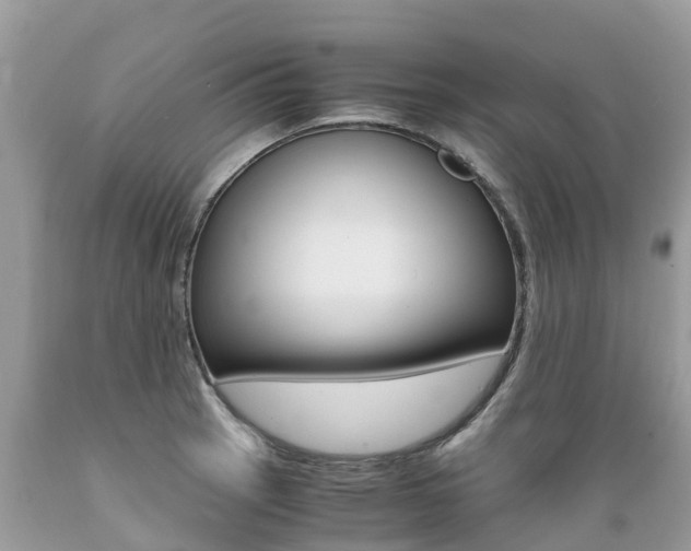 X0000089671137200706210747
