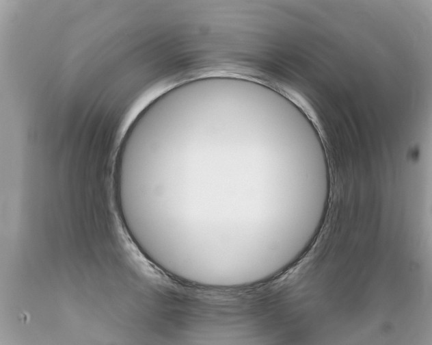 X0000089671138200706210747