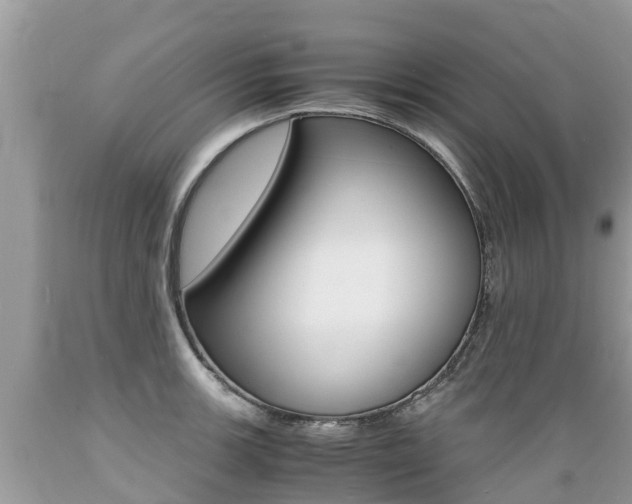 X0000089671139200706210747