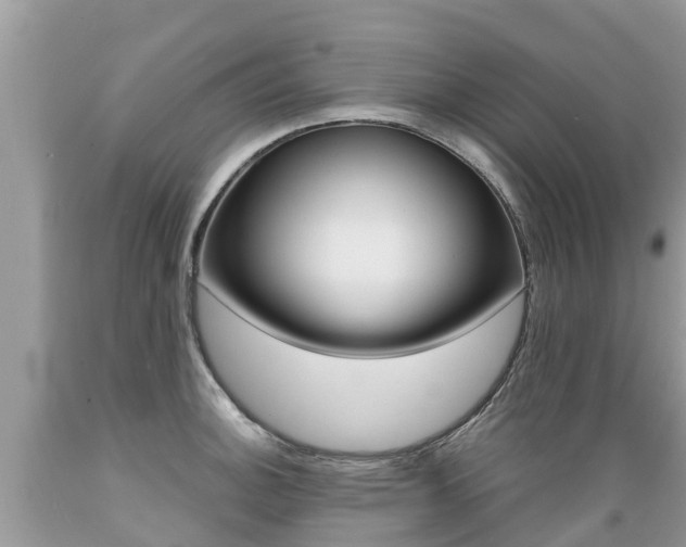 X0000089671140200706210747