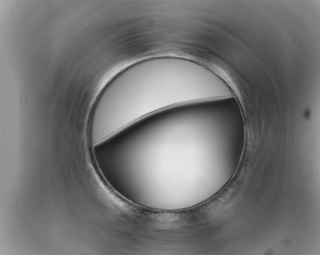 X0000089671141200706210747
