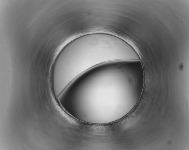 X0000089671142200706210747