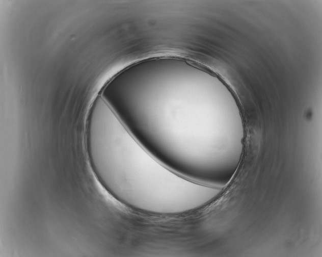 X0000089671143200706210747