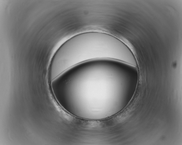 X0000089671144200706210747
