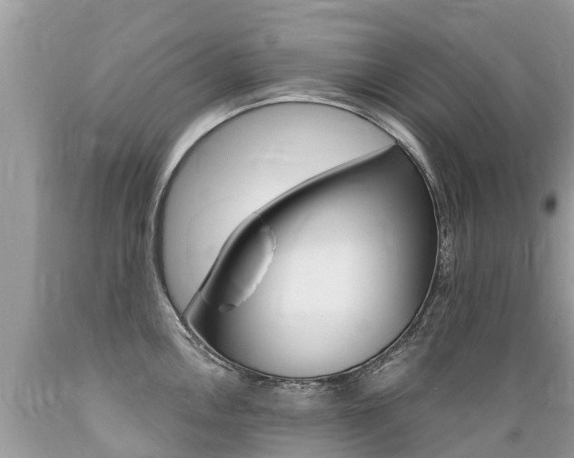 X0000089671146200706210747