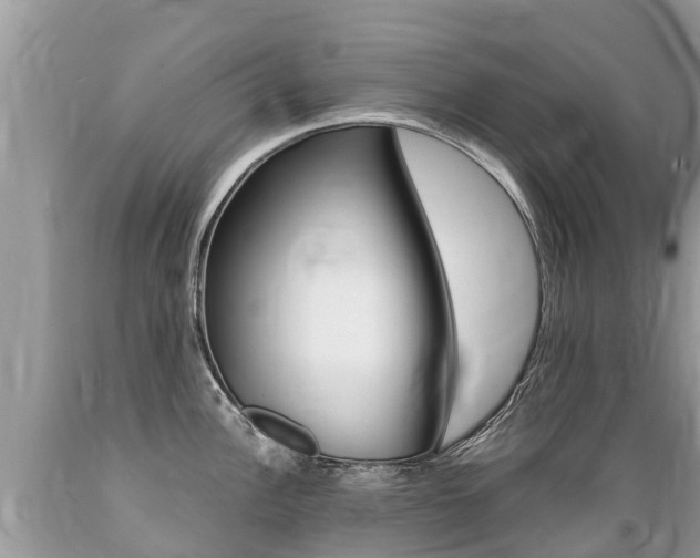 X0000089671148200706210747