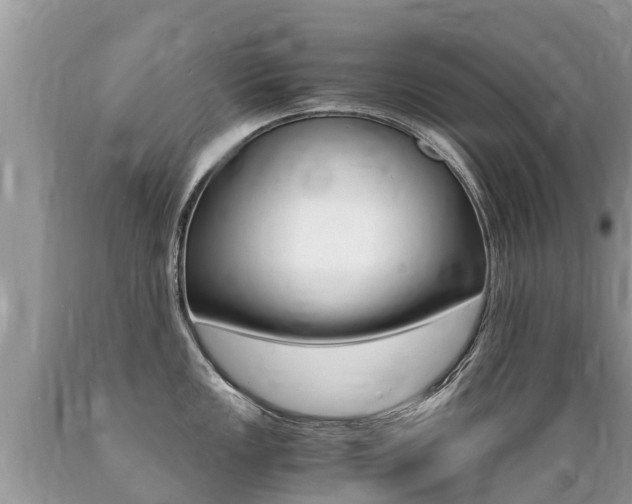 X0000089671149200706210747