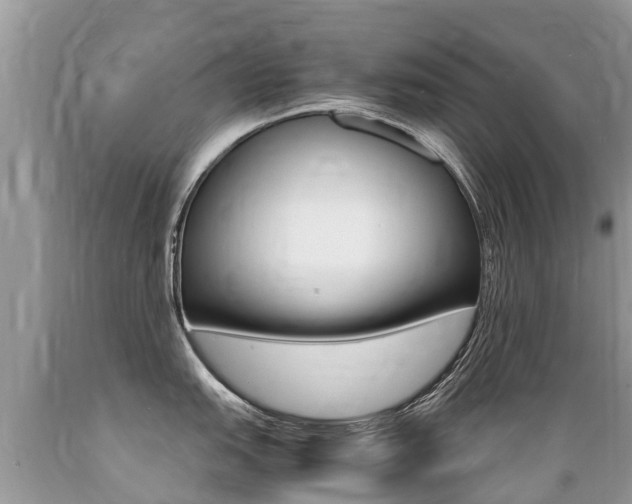 X0000089671151200706210747