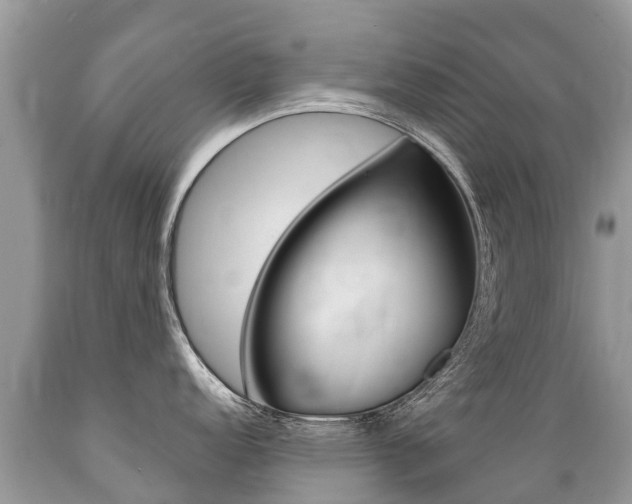 X0000089671152200706210747