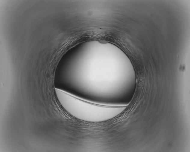 X0000089671153200706210746