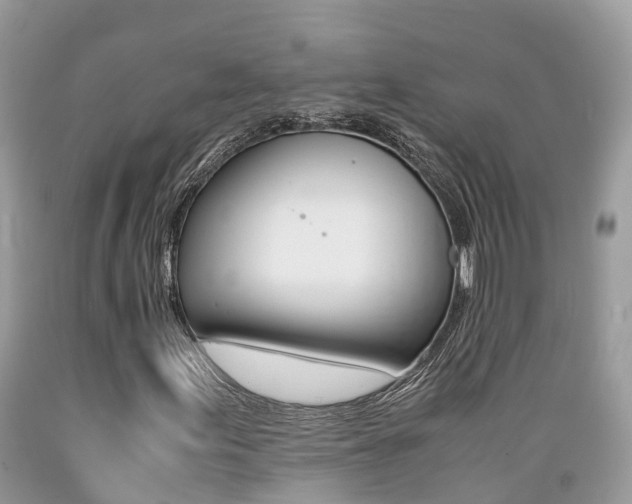 X0000089671155200706210746