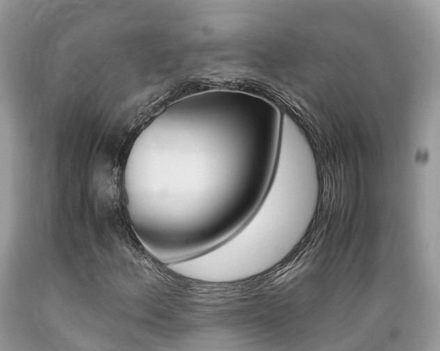 X0000089671156200706210746