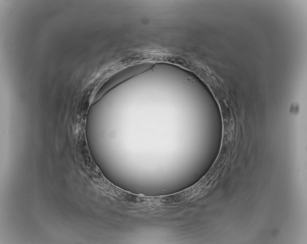 X0000089671157200706210746