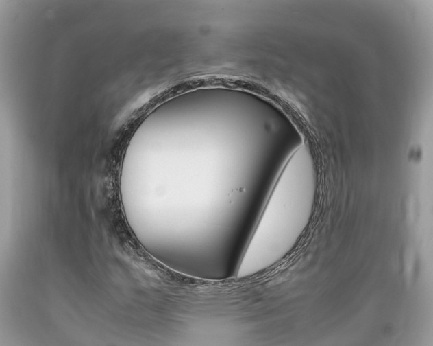 X0000089671159200706210746