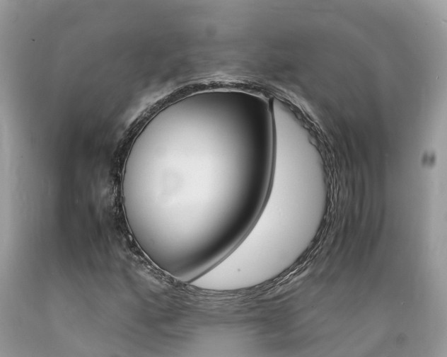 X0000089671160200706210746