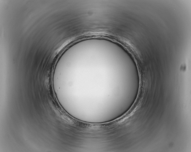 X0000089671162200706210746