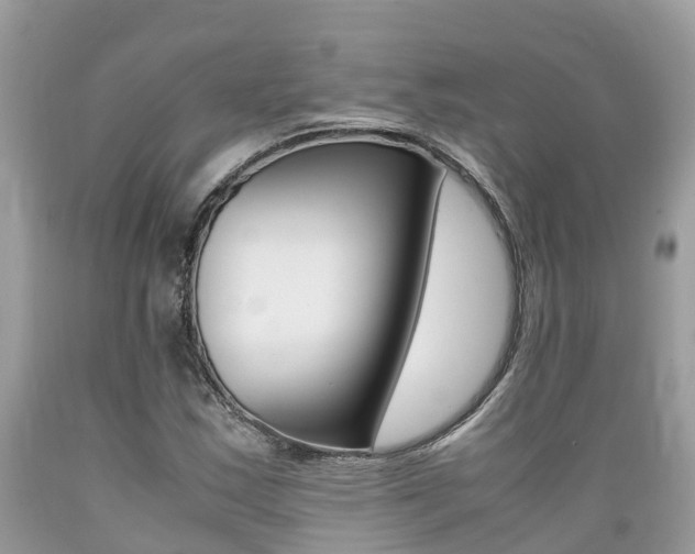 X0000089671163200706210746