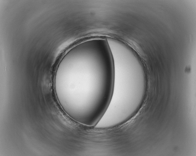 X0000089671164200706210746