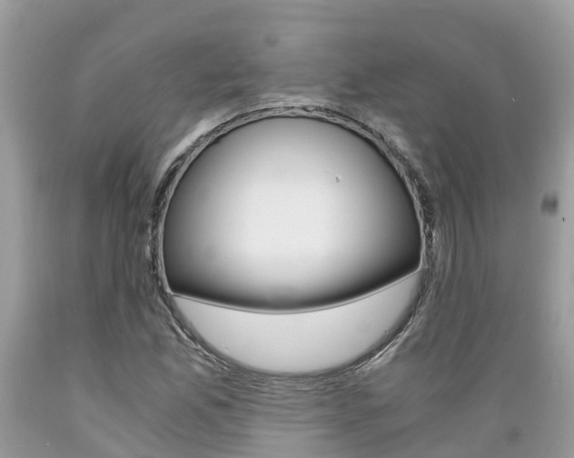 X0000089671165200706210746