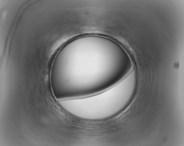 X0000089671167200706210746